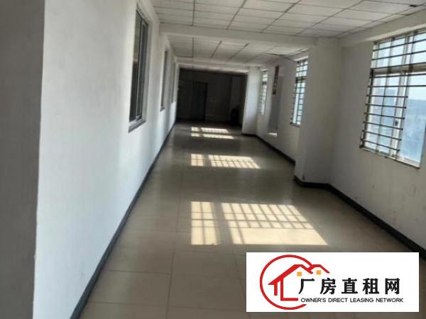  虎门独栋1-3楼分租，大小面积可选，电联