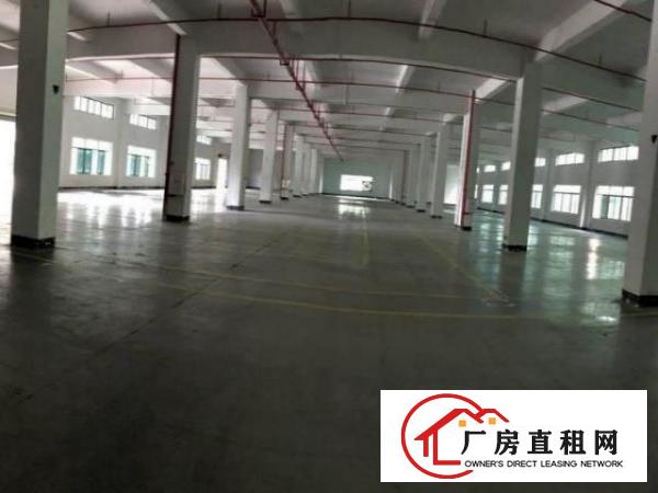  南栅厂房二楼出租900平方，有装修
