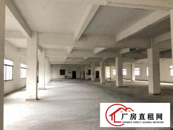  南栅原房东标准厂房1100平方，配3吨电梯