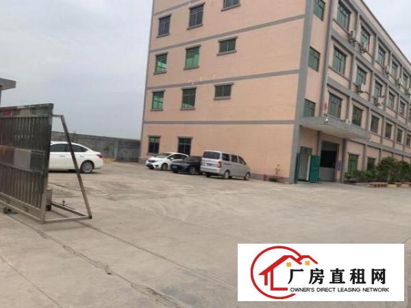  新联工业区原房东独院厂房，单层1800方