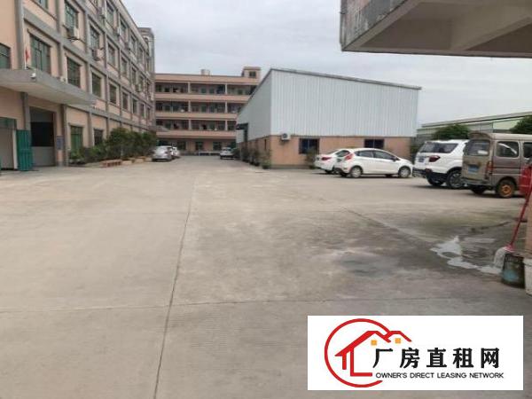  新联工业区原房东独院厂房，单层1800方