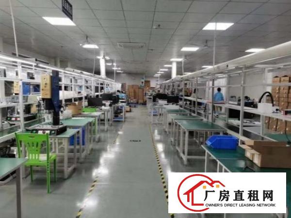  新联工业区原房东独院厂房，单层1800方