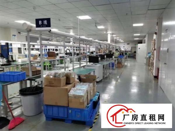  新联工业区原房东独院厂房，单层1800方