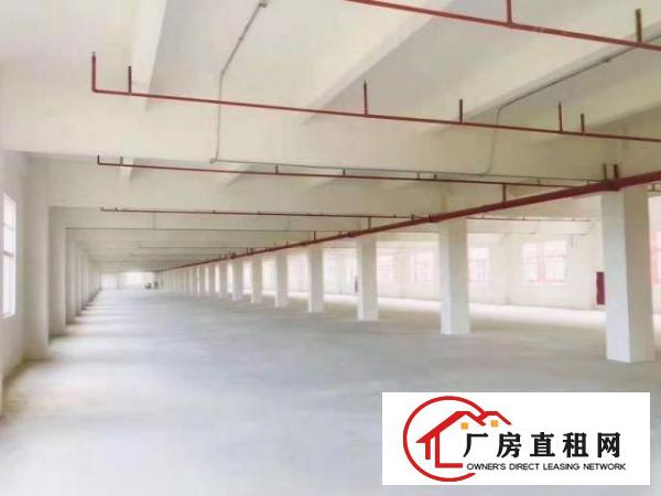 虎门原房东厂房出租，两栋，600方起租