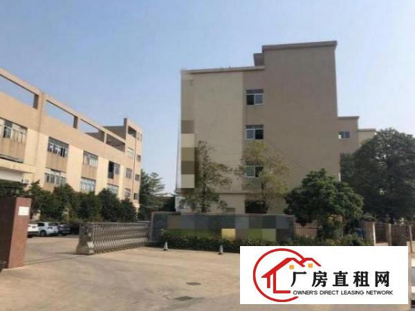  白沙无公摊1楼1800平方6米，有现成装修