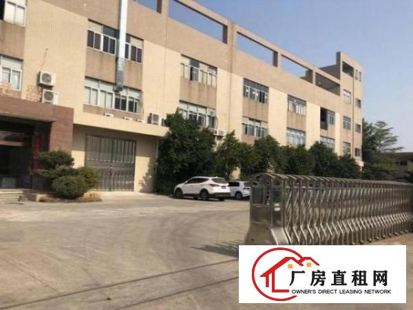  白沙无公摊1楼1800平方6米，有现成装修