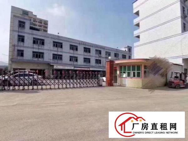  南栅原房东独院分租一楼1080平方6米高带行车