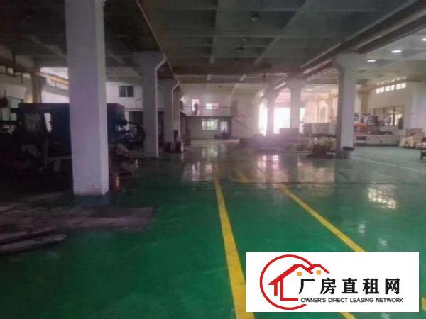  南栅原房东独院分租一楼1080平方6米高带行车