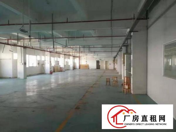  金洲工业区原房东标准独院招租，空地大，可签10年