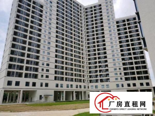  东莞市虎门镇全新红本厂房5万平方花园式厂房带地下停车场