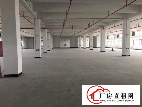  虎门电镀厂房独院厂房8000平证件齐全大小可分租
