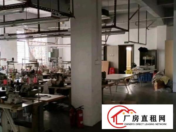  虎门制衣贸易厂房1600平方招租