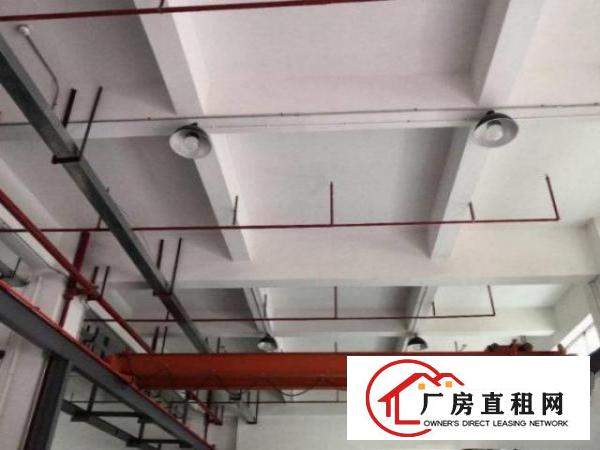  北栅新出1楼500平带办公室，车间水电到位