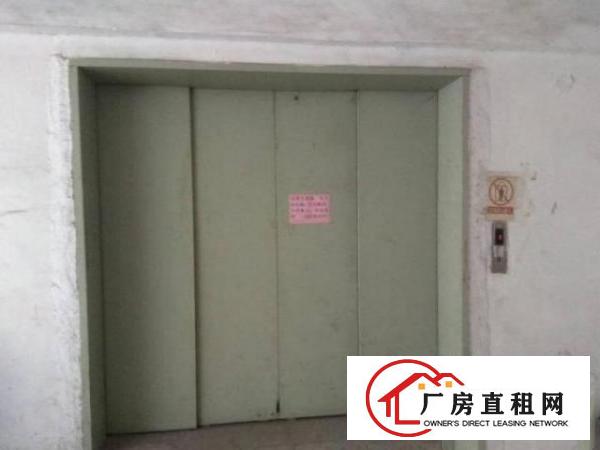  金洲工业区分租原房东厂房三楼1000平方，无公摊无杂费