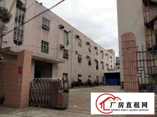  金洲工业区分租原房东厂房三楼1000平方，无公摊无杂费