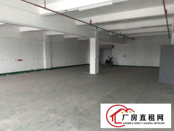  金洲工业区分租原房东厂房三楼1000平方，无公摊无杂费