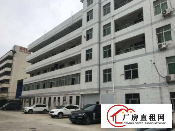  南栅工业区新出一楼1550平方，厂房现成装修