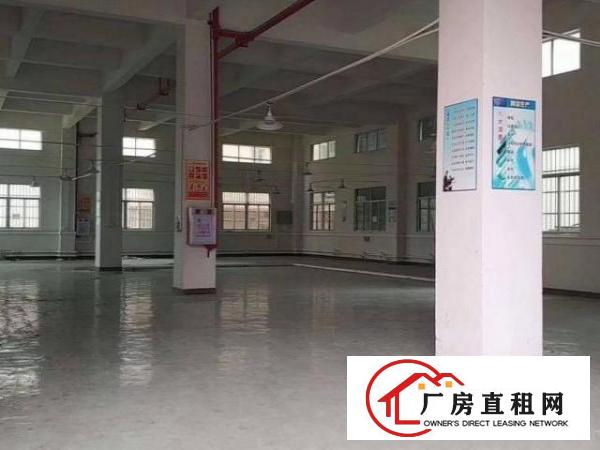  南栅工业区新出一楼1550平方，厂房现成装修