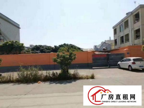  南栅单层厂房1080平8米高，房东是主任，适合任何行业