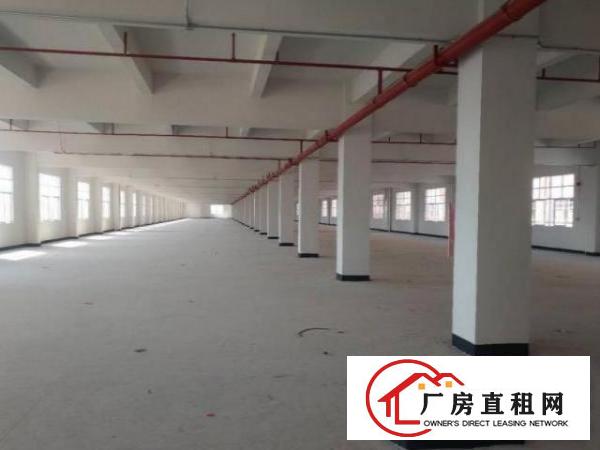  虎门花园式独院厂房，可分租红本双证可办环评