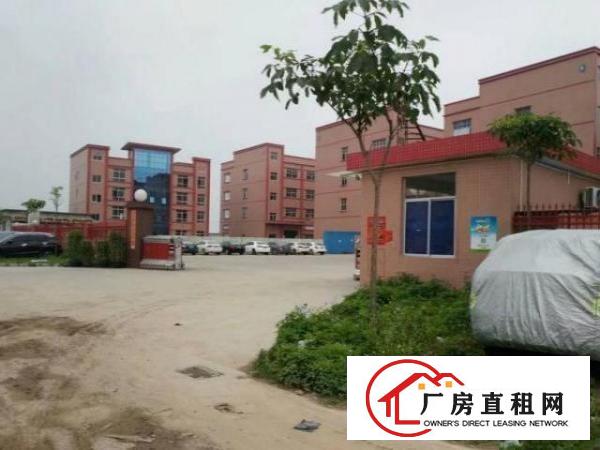 虎门花园式独院厂房，可分租红本双证可办环评