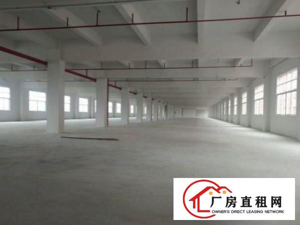  虎门花园式独院厂房，可分租红本双证可办环评