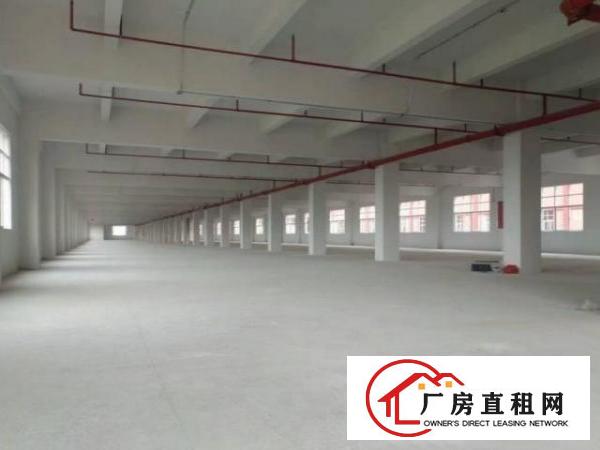  虎门花园式独院厂房，可分租红本双证可办环评