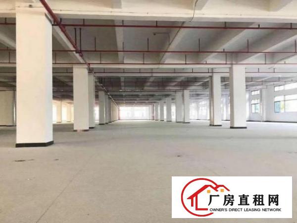  居岐工业区独门独院标准厂房招租，配电大