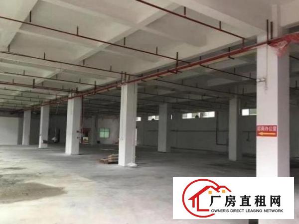  居岐工业区独门独院标准厂房招租，配电大
