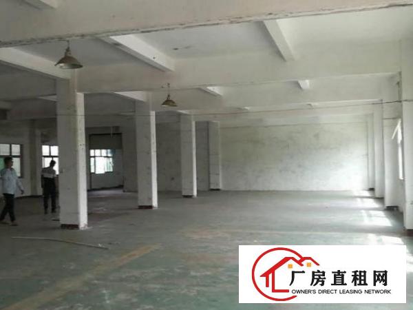  居岐工业区独门独院标准厂房招租，配电大