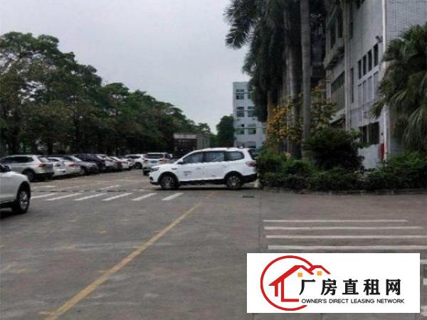  原物业直租，新联村附近900平标准厂房，形象好，可分租