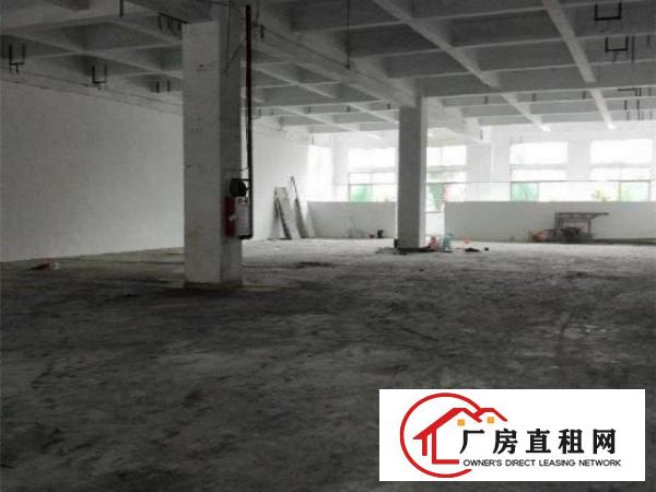  原物业直租，新联村附近900平标准厂房，形象好，可分租