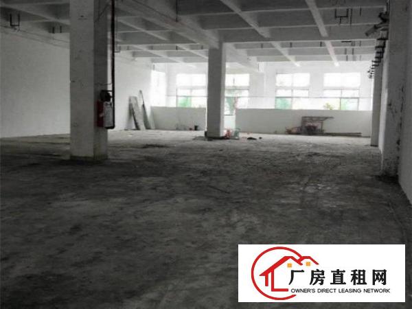  原物业直租，新联村附近900平标准厂房，形象好，可分租