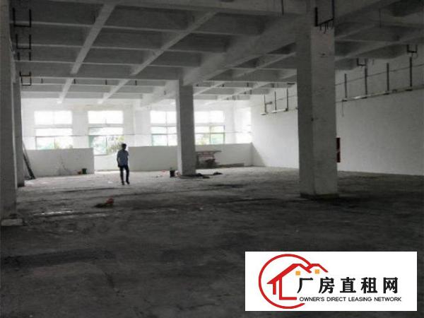  原物业直租，新联村附近900平标准厂房，形象好，可分租