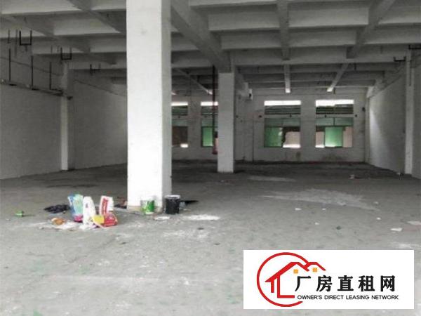  原物业直租，新联村附近900平标准厂房，形象好，可分租