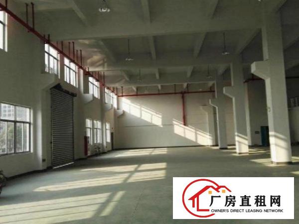  虎门镇北栅全新带装修、交通便利,办公室精装修