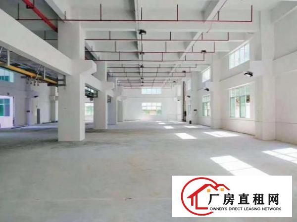  虎门镇北栅全新带装修、交通便利，三楼1200平