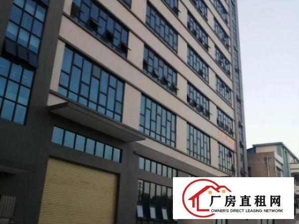 白沙大路楼上1380平方带装修厂房出租