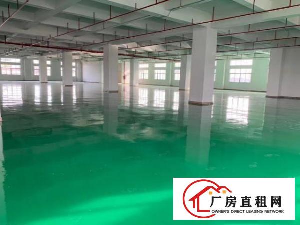  大小分租，大宁靠树田全新地坪漆重工业厂房3500平大小分租啦