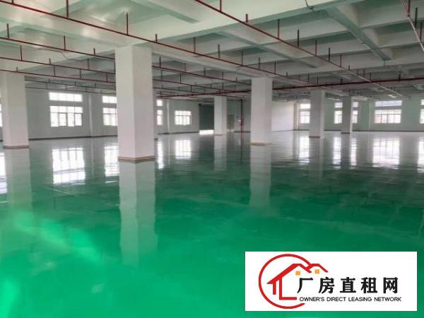  大小分租，大宁靠树田全新地坪漆重工业厂房3500平大小分租啦