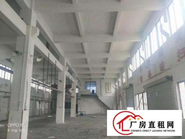  南栅六区新出一楼800平方厂房出租，高6米