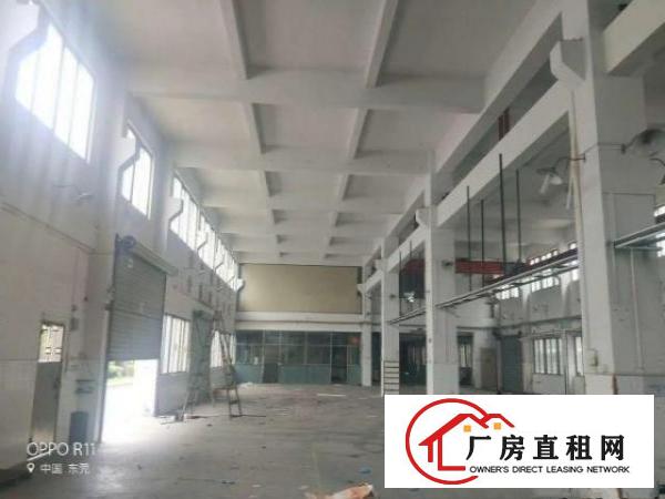  南栅六区新出一楼800平方厂房出租，高6米