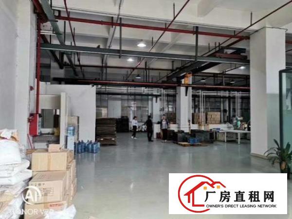  路东广场旁新出原房东厂房一楼1300平方带装修出租