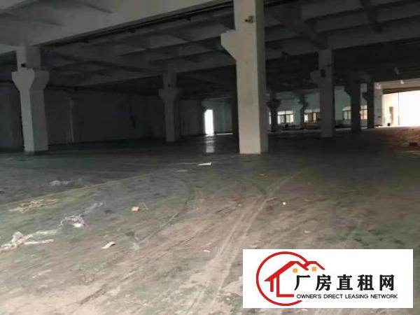  北栅新出原房东独门独院厂房二层共5500平方出租