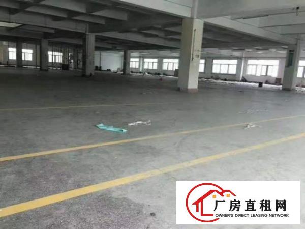 北栅新出原房东独门独院厂房二层共5500平方出租