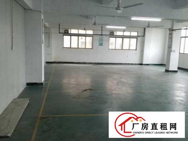  出租东莞市虎门镇南栅六区400平方有电梯厂房电子商务办公
