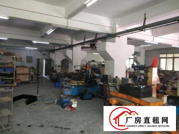  东翔路6号小面积厂房，房东直租