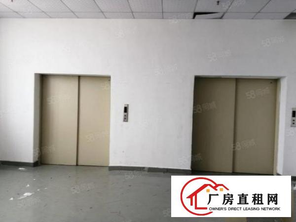  虎门南栅四区新出楼上精装厂房860平可分租两家临沿江