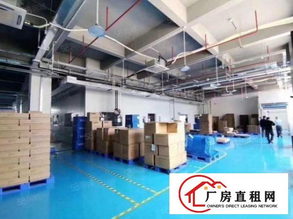  无尘车间可做医疗用品！现成风淋！独院6300平厂房出租可分租