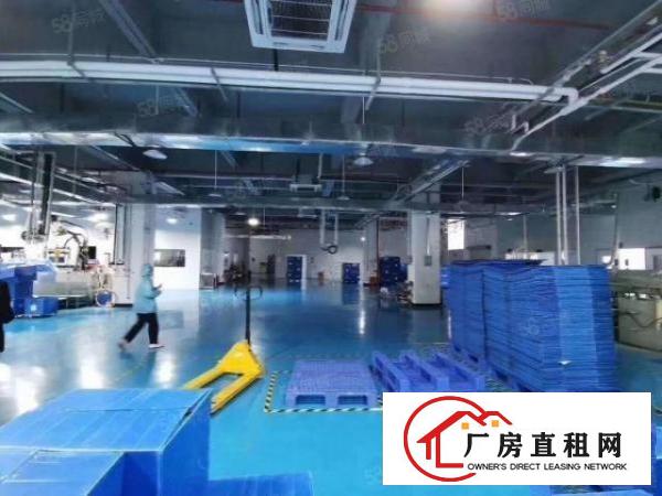  无尘车间可做医疗用品！现成风淋！独院6300平厂房出租可分租